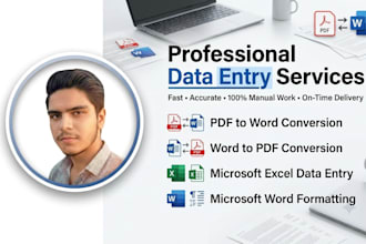 do data entry, word, excel, PDF conversion