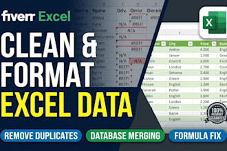 do excel data cleaning, formatting, and data merging