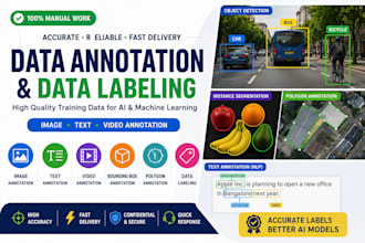 do professional data annotation and data labeling