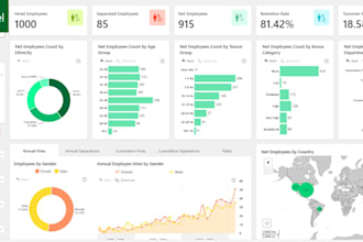build interactive excel dashboards and executive KPI reports