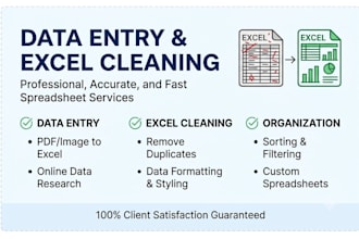 do expert data entry and excel data cleaning