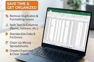 do expert excel data cleaning, formatting, and deduplication
