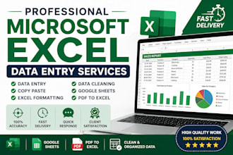 microsoft excel data entry, formatting, cleaning and google sheets