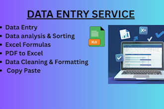 do data entry,data analysis,excel,PDF to excel,data cleaning