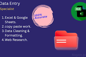 do professional excel and google sheets data entry work