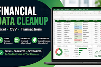 clean organize and categorize your financial data in excel