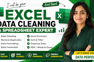 clean, organize, format, and your microsoft excel spreadsheet