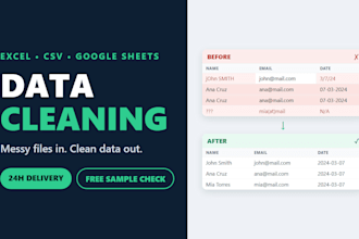 do professional data cleaning