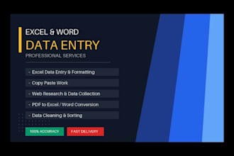 do excel data entry and professional formatting
