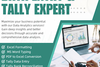 be your expert tally data entry bank reconciliation and advance excel specialist