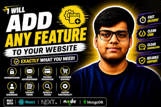 add new features to your website professionally