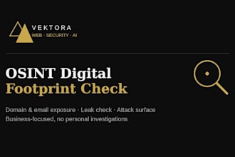 perform an osint digital footprint security check