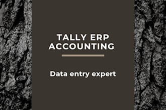 accurate tally erp accounting and data entry services