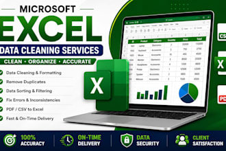 clean, format, remove duplicates, and organize excel spreadsheets