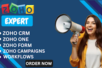 setup and customize zoho CRM, zoho one, forms, campaigns and sites