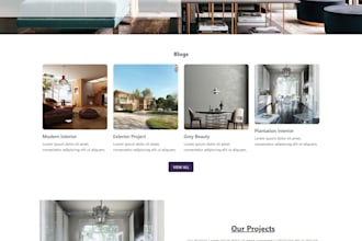 create a professional HTML CSS website page
