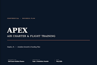 write a professional executive summary for your business plan