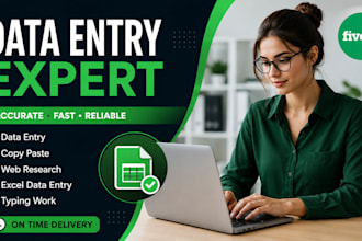 do accurate data entry, excel data entry and conversion