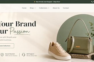 design a professional shopify store