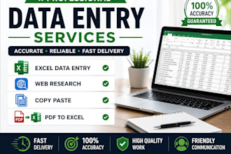 do accurate excel data entry, web research and data collection