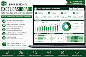 create a professional excel dashboard