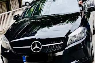 help you choose the right car ,damage history and inspection