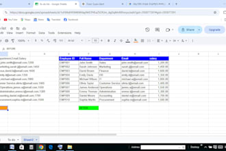 data excel entry and cleaning