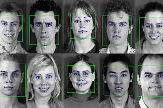 do face recognition and real time emotion or object detection opencv project