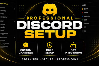create and configure a professional discord server