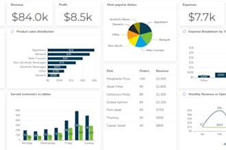 create a professional power bi dashboard and reports