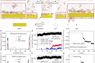 do gromacs molecular dynamics MD simulation
