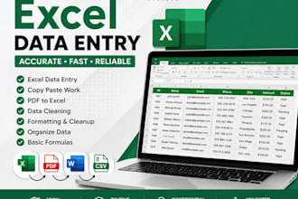 excel data entry, formatting and spreadsheet cleanup