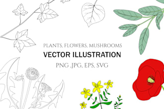 illustrate herbs, flowers and plants in vector