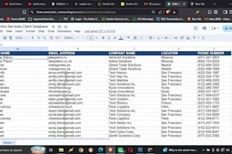 be your data entry specialist for excel and google sheets