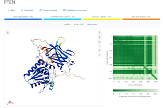 protein 3d modeling for molecular docking and MD simulation