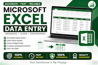 do accurate microsoft excel data entry and formatting