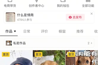 chinese social media platforms