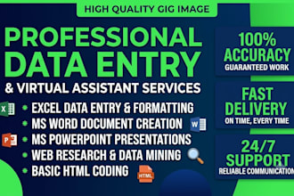 data entry ms excel, ms word, ms powerpoint, HTML coding
