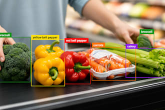 do opencv, tensorflow, yolo projects on raspberry pi