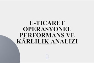 do e commerce data analysis and profitability report