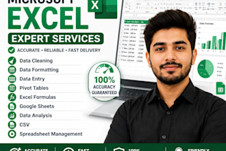 solve microsoft excel assignments, projects and tasks