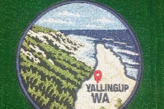 do professional embroidery digitizing and logo digitizing