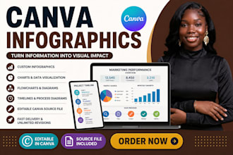 design  professional canva business infographics and flowchart