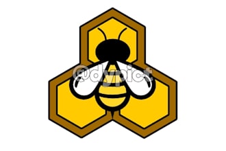 design a vector logo for you