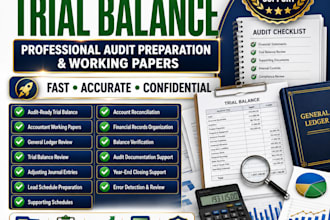prepare audit ready trial balance and working papers fast
