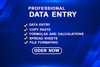 do microsoft excel data entry, formulas
