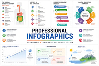 design infographics, flowcharts, diagram and visualization