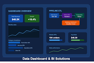 create a professional data dashboards