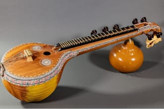record erhu, sarangi, violin, sitar, veena, oud and world string instrument