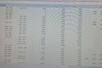 do bookkeeping, bank reconciliations, accounting in excel